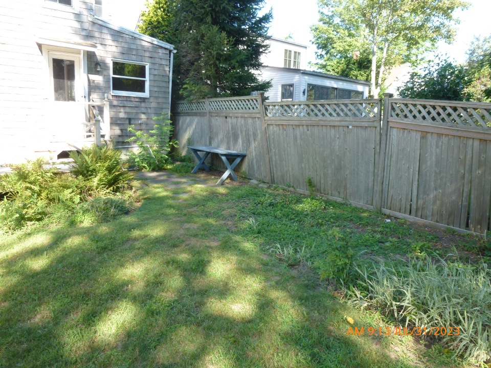 backyard 20230731 1