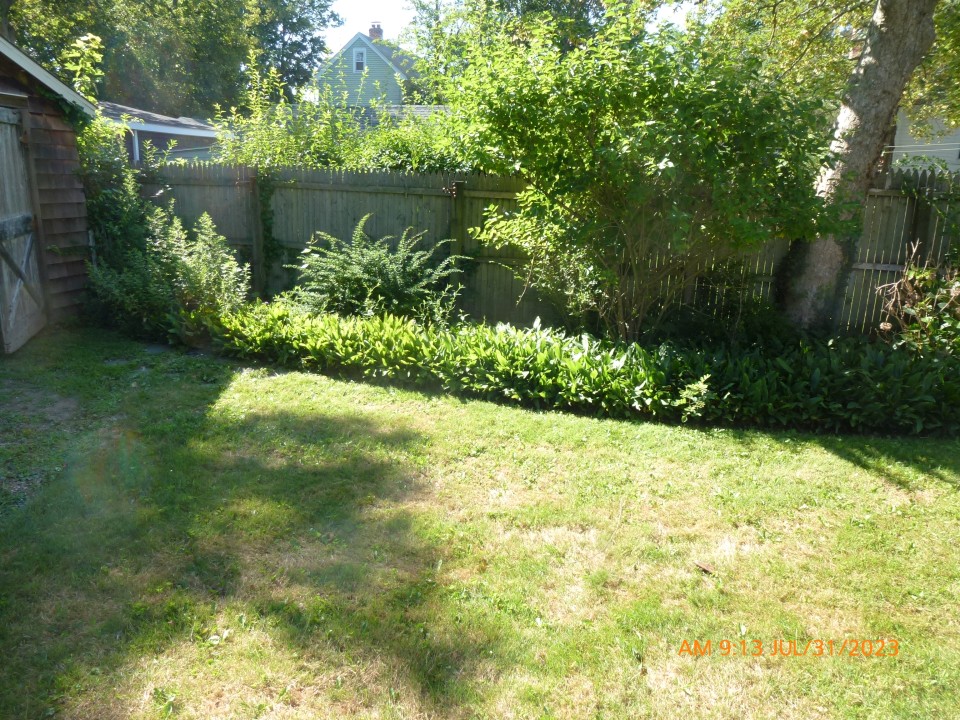 backyard 20230731 4