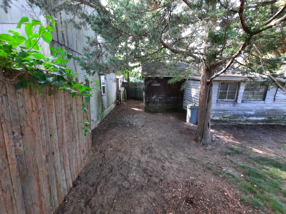 backyard 20230831 4