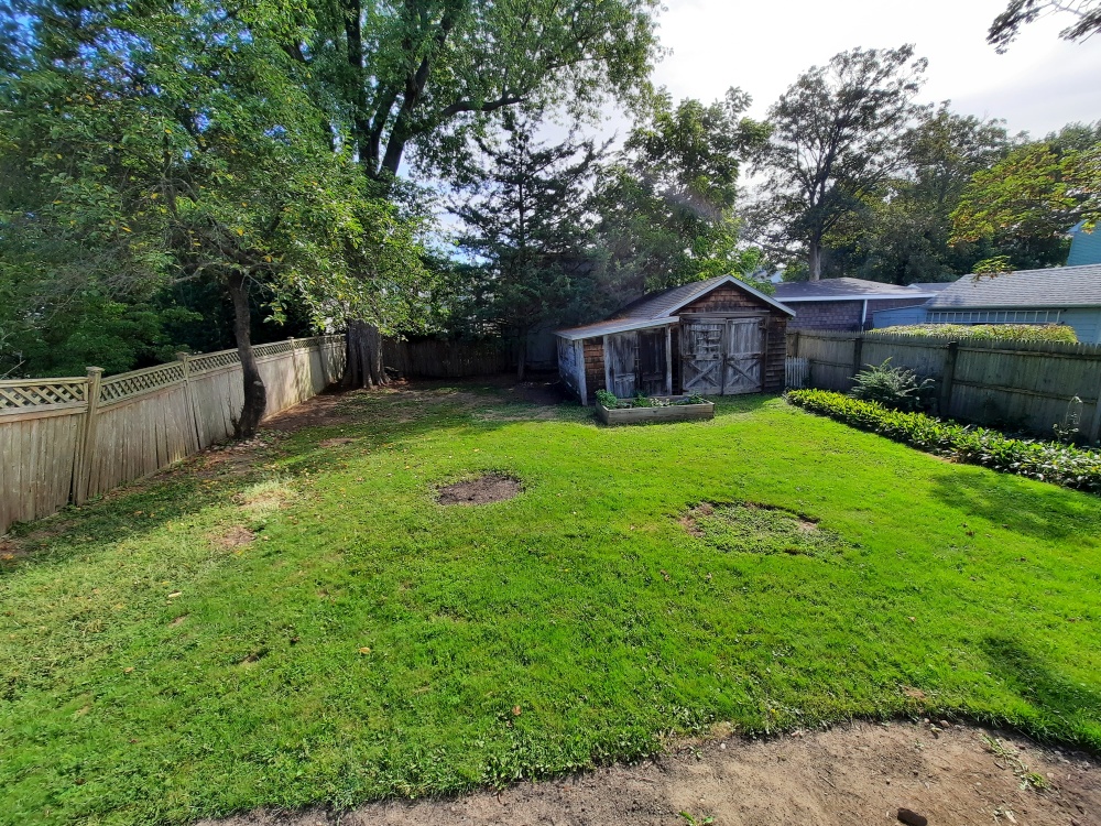 backyard 20230831 5