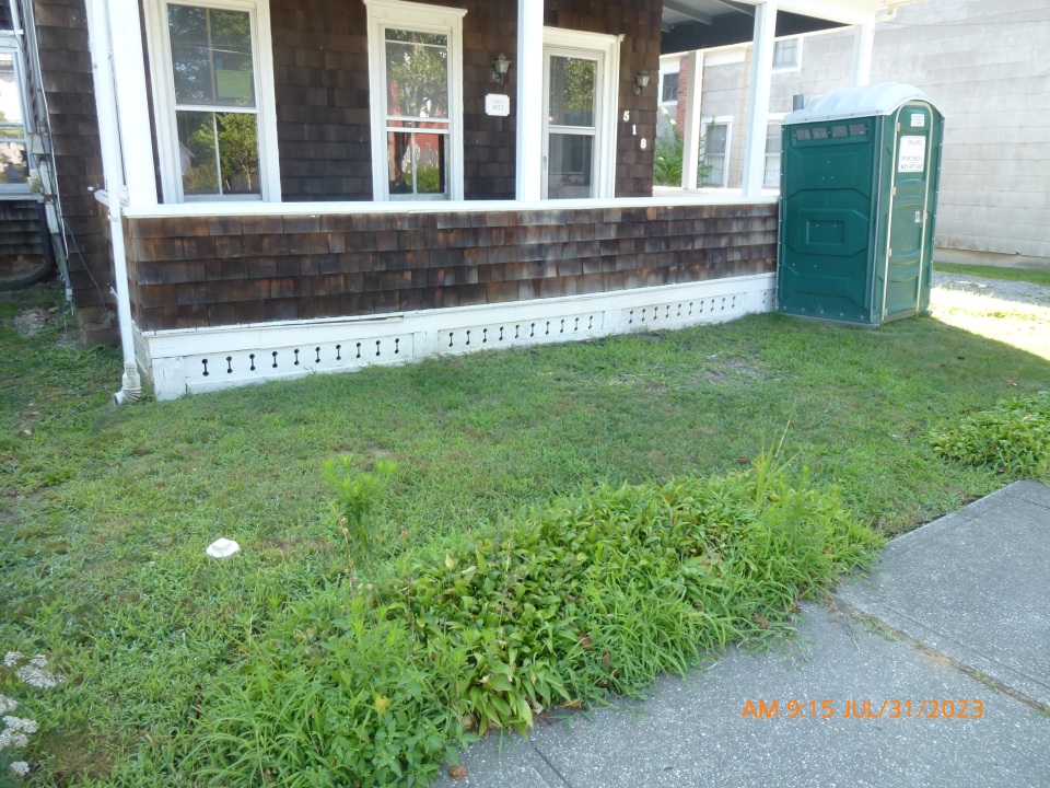 front yard 20230731 3