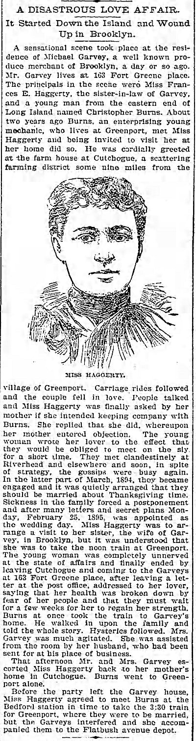 Brooklyn Daily Eagle 1895 03 02